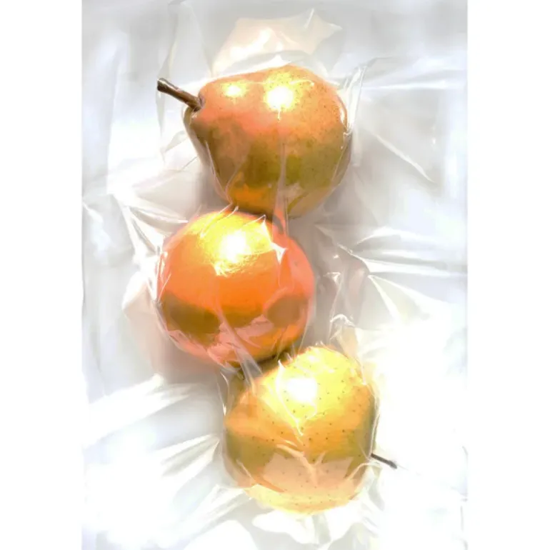 Sachets pour machine sous vide 30 x 40 cm emballage sous vide alimentaire (Lot de 50)