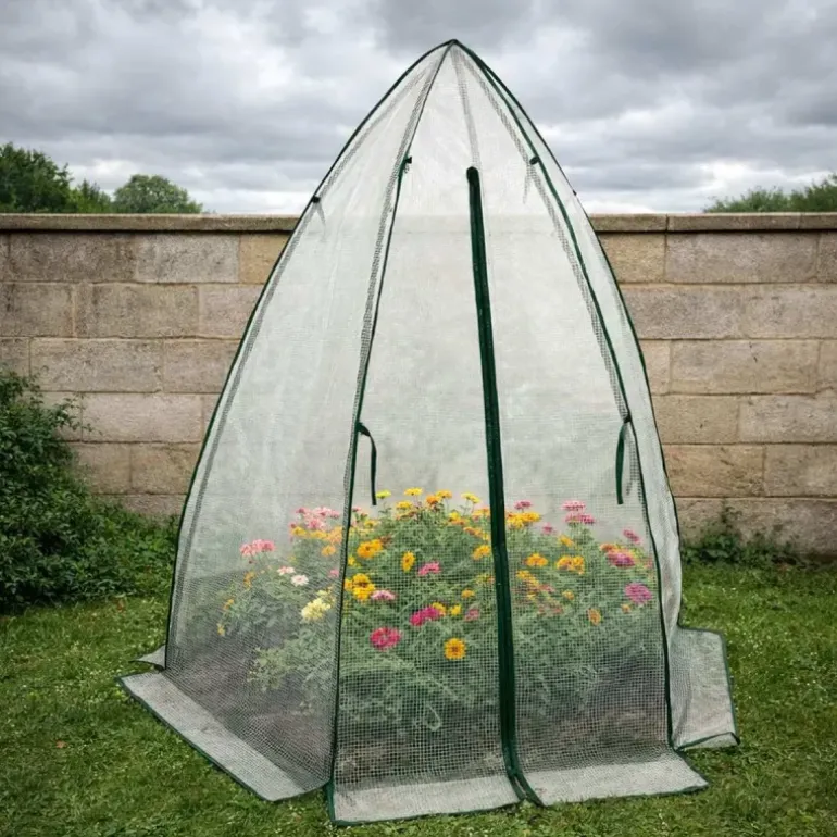 Serre d'hivernage dôme transparente protection plantes hiver
