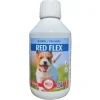 Traitement Rhumatisme Chien - Solution Anti-Inflammatoire Naturelle