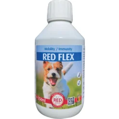 Traitement Rhumatisme Chien - Solution Anti-Inflammatoire Naturelle
