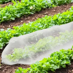 Tunnel de croissance 3m pour potager