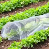 Tunnel de Forçage 3m pour potager